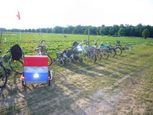 rangée de vélo face au champ de fraises.